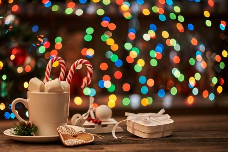 Holiday Treats and Safety Tips